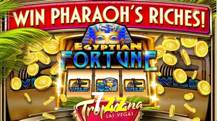 Descubra o Mundo do Cassino Online com 7zz